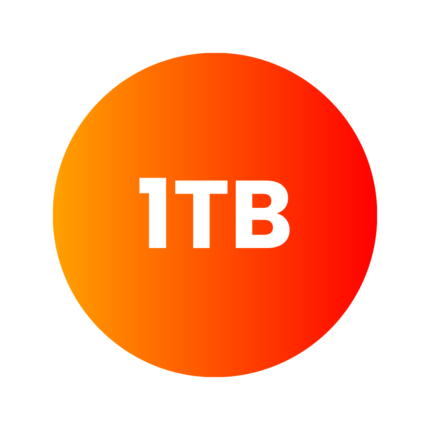 1TB