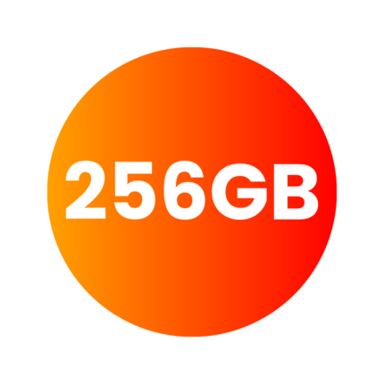 256 GB